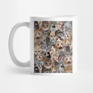 Cats and more Cats Mug